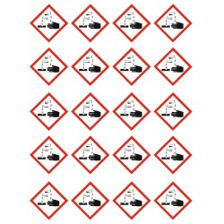 Autocollant picto substances corrosives (lot 20)