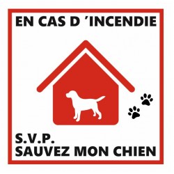 Autocollant chien méchant