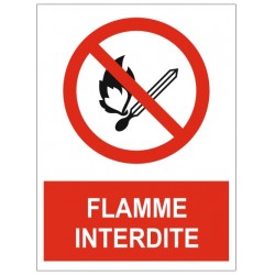 Panneau flamme interdite (P003)