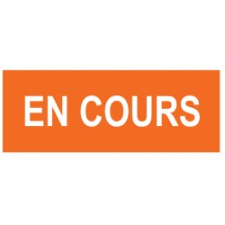 Magnet en cours orange