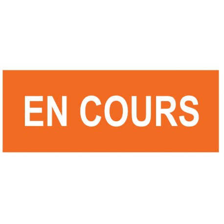 Magnet en cours orange