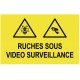 Panneau ruches sous vidéo surveillance