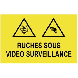 Panneau ruches sous vidéo surveillance