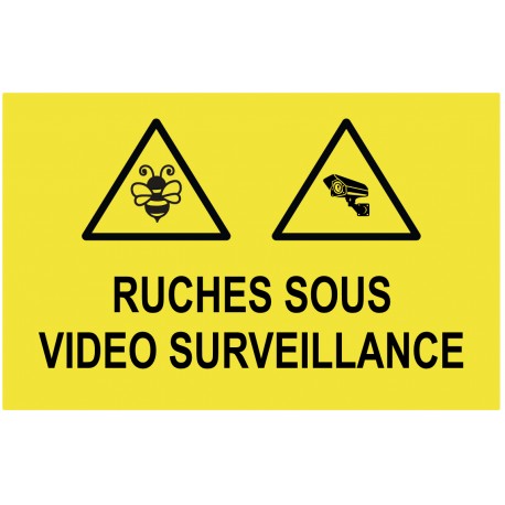 Panneau ruches sous vidéo surveillance
