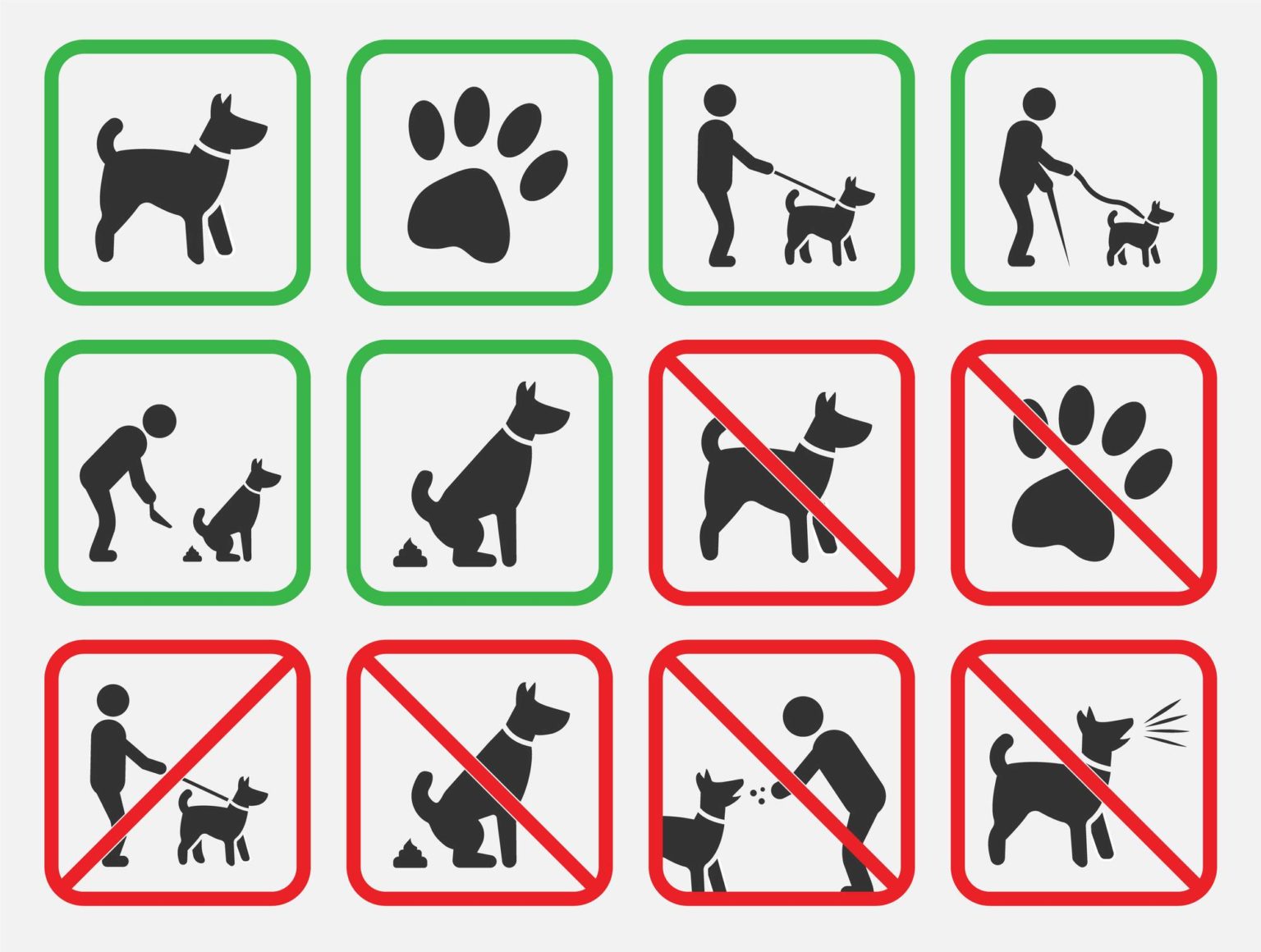 Crotte de chien : amende, que dit la loi et les solutions existantes