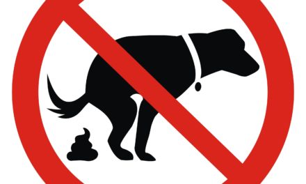 Crotte de chien : amende, que dit la loi et les solutions existantes